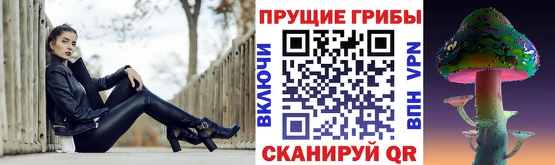 купить закладку  Муравленко  Псилоцибиновые грибы прущие грибы 
